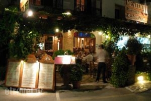 Meltemi Restaurant_food_in_Restaurant___Naxos