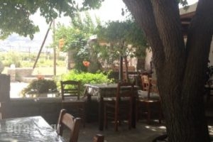 Stella's Taverna_food_in_Restaurant___Paros