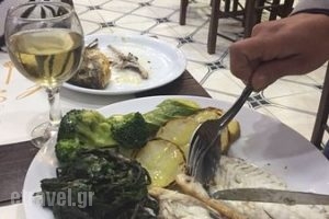 Piato El Greco_food_in_Restaurant___