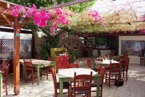 Taverna Kastro_food_in_Restaurant___Panormos