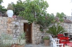 Delfys Taverna at Arolithos Traditional Cretan Village hollidays
