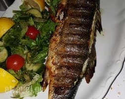 Molos Restaurant_food_in_Restaurant___Skopelos