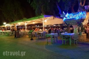 Starfisj Restaurant_food_in_Restaurant___Vasiliki
