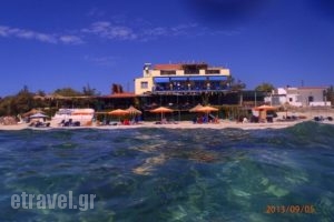Stelakis Beach Tavern_food_in_Caf? and Bar___Thasos