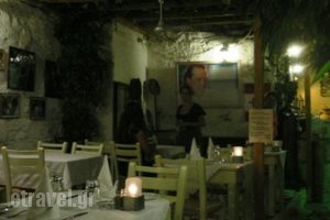 Apollon Garden_food_in_Restaurant___Paros