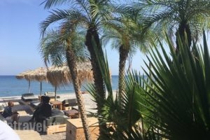Ronda Restaurant & Beach Bar_food_in_Caf? and Bar___Rodos